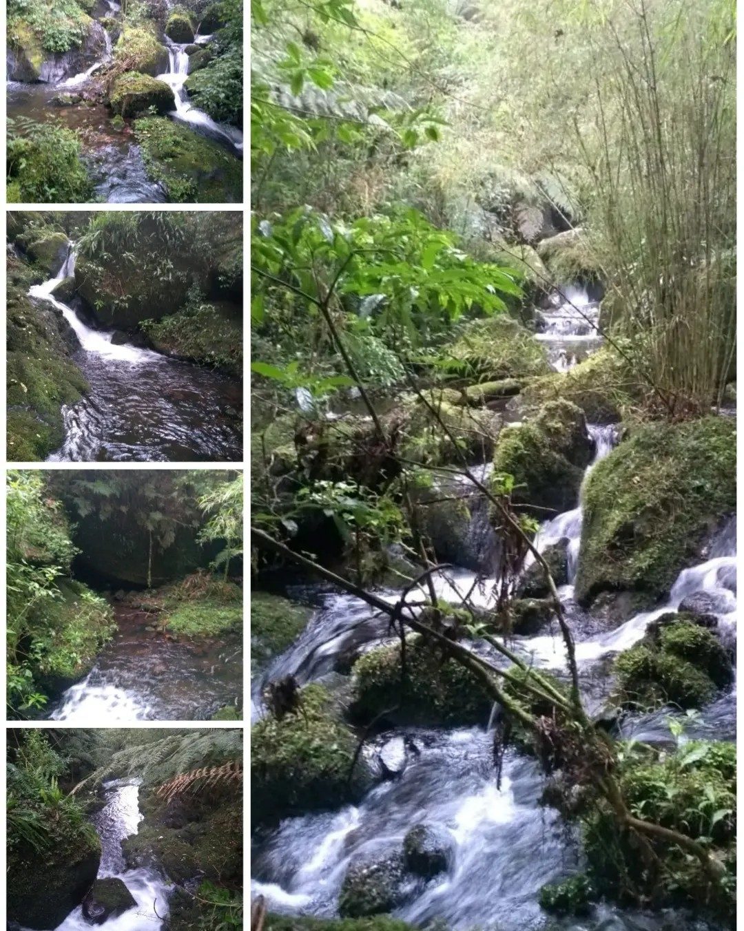 Cachoeiras de água cristalina dentro da fazenda