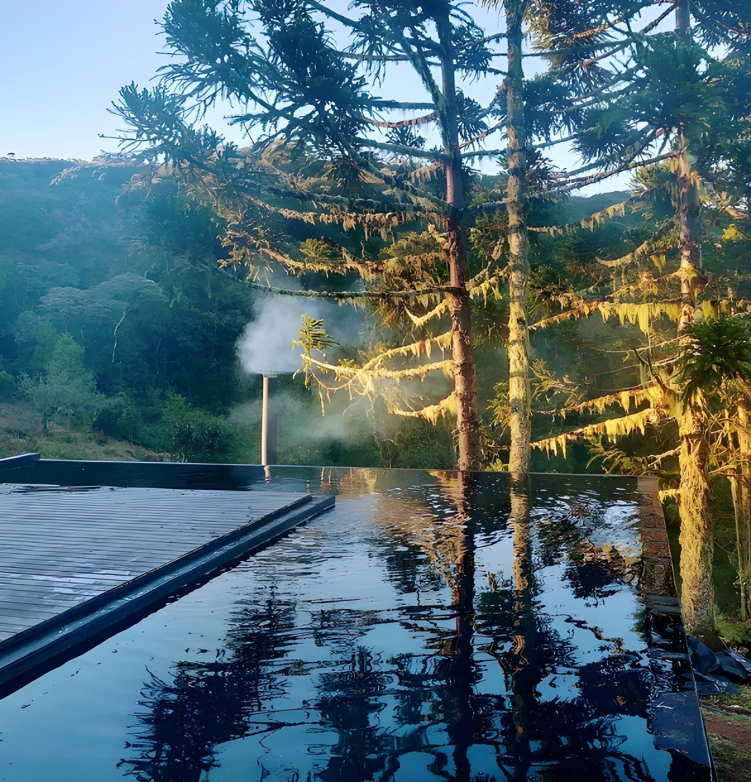 Piscina de borda infinita com reflexo das araucárias ao amanhecer